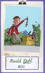 Roald Dahl Boy immagine non disponibile