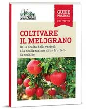 Fernando Cossio, Domenico Annichiarico, Chiara Vacca - Coltivare il melograno
