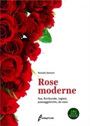 Rinaldo Sartore Rose moderne immagine non disponibile