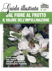 a cura di Francesca Massetani, Giovanni Rigo - Dal fiore al frutto