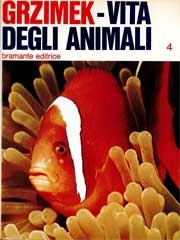 Bernhard Grzimek - Grzimek - Vita degli animali 4