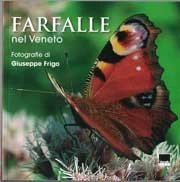 Giuseppe Frigo - Farfalle nel Veneto - Butterflies in Veneto