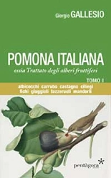 Giorgio Gallesio Pomona Italiana ossia Trattato degli alberi fruttiferi immagine non disponibile