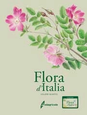 Riccardo Guarino, Marco La Rosa, Sandro Pignatti - Flora d'Italia volume 4
