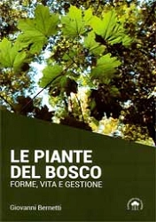 Giovanni Bernetti - Le piante del bosco