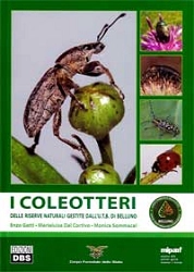 Enzo Gatti, Marialuisa Dal Cortivo, Monica Sommacal - I Coleotteri