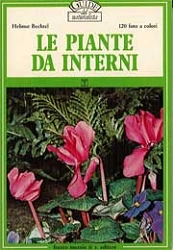 Helmut Bechtel - Le piante d interni