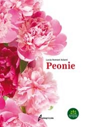 Lucia Romani Adami Peonie immagine non disponibile