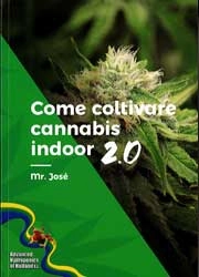 Mr. José - Come coltivare cannabis Indoor 2.0