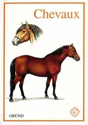 Helena Kholova Chevaux immagine non disponibile
