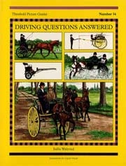 Sallie Walrond Driving questions answered immagine non disponibile
