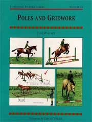 Jane Wallace Poles and gridwork immagine non disponibile