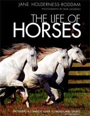 Jane Holderness-oddam The life of horses immagine non disponibile