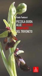 Paolo Paolucci Piccola guida alle orchidee spontanee del Triveneto immagine non disponibile