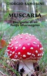 GIorgio Samorini Muscaria immagine non disponibile