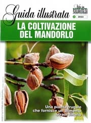 A cura di Massimo Brucato, Nicoletta Bucci e Paolo pigozzi La coltivazione del mandorlo immagine non disponibile