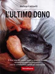 Stefano Cattinelli - L'ultimo dono