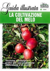 Giovanni Rigo, Alessio Giacopini La coltivazione del melo immagine non disponibile