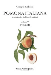 Giorgio Gallesio Pomona Italiana - i Peschi immagine non disponibile