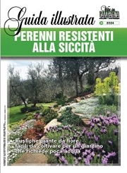 Francesca Moscatelli Perenni resistenti alla siccità immagine non disponibile