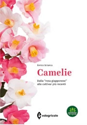 Enrico Scianca Camelie immagine non disponibile