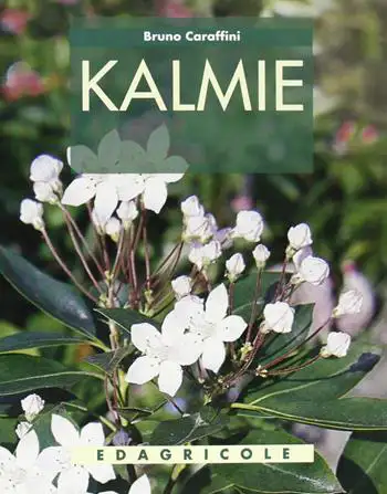 Bruno Caraffini - Kalmie