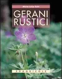 Maria Luisa Sotti - Gerani rustici