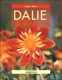 Vanni Oliva Dalie immagine non disponibile