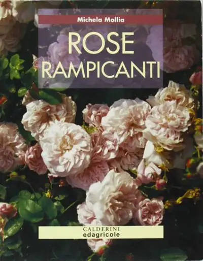 Michela Mollia - Rose rampicanti