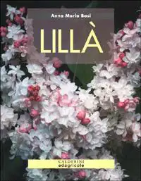 Anna Maria Bosi - Lillà