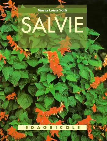 Maria Luisa Sotti Salvie immagine non disponibile