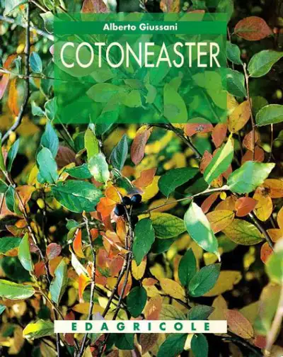 Alberto Giussani - Cotoneaster