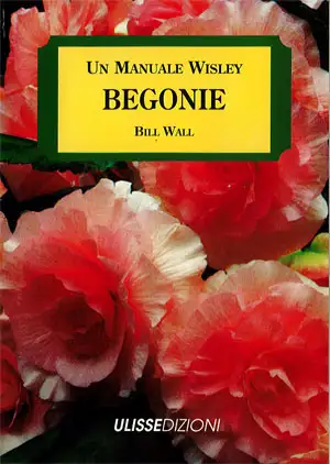 Bill Wall - Begonie