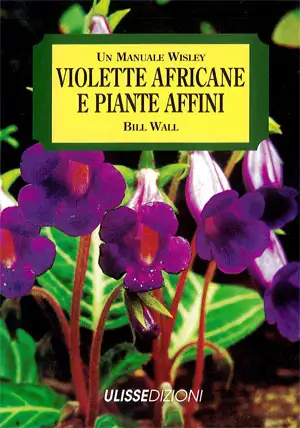 Bill Wall - Violette africane