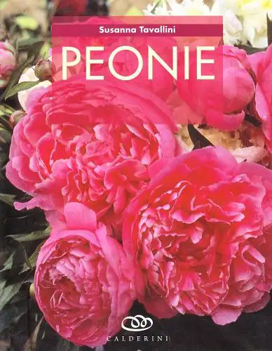 Susanna Tavallini Peonie immagine non disponibile
