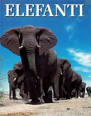 Jeheskel Shoshani - Elefanti