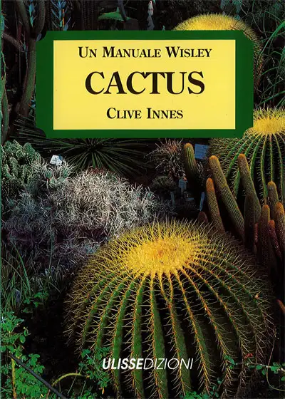 Clive Innes - Cactus