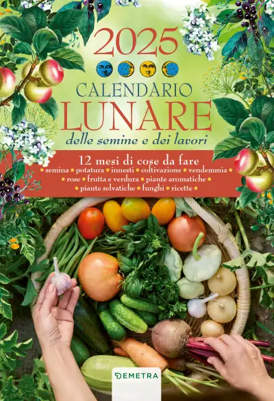 AA.VV. Calendario Lunare 2025 da parete  immagine non disponibile
