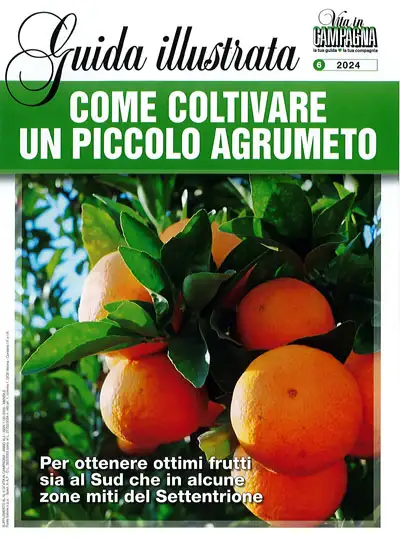 a cura di salvo Manzella Come coltivare un piccolo agrumeto immagine non disponibile