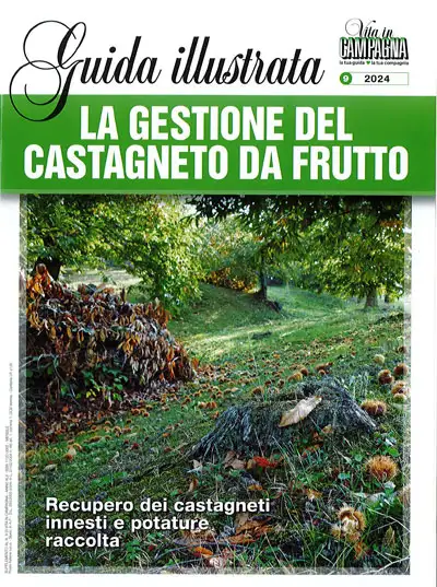 a cura di Maurizio Musolesi La gestione del castagneto da frutto immagine non disponibile
