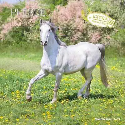 aa.vv. - Horses - Pferde 2025