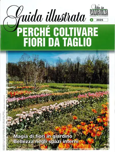 a cura di Elisa Marmiroli - Perchè coltivare fiori da taglio