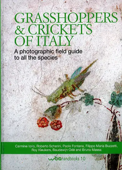 Iorio C., Scherini R., Fontana P., Buzzetti F.M., Kleukers R., Odè B., Massa B. Grasshoppers & Crickets of Italy immagine non disponibile