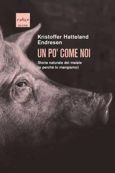 Kristoffer Hatteland Endresen - Un po' come noi. Storia naturale del maiale