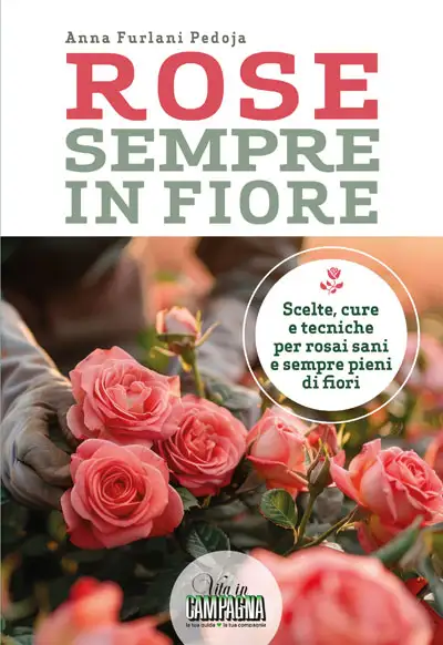 Anna Furlani Pedoja Rose sempre in fiore immagine non disponibile