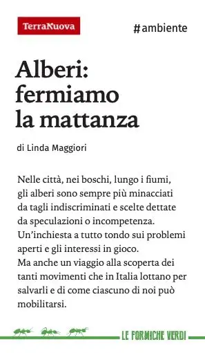 Linda Maggiori - Alberi: fermiamo la mattanza
