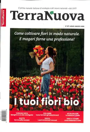redazione AAM Terranuova AAM Terranuova n.417 Luglio - Agosto 2025 immagine non disponibile