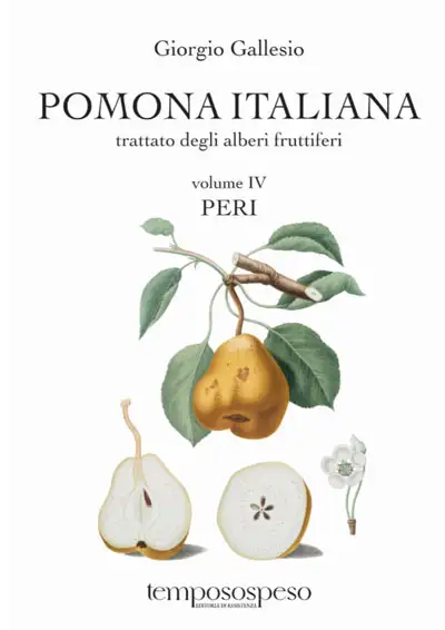 Giorgio Gallesio - Pomona Italiana - Peri