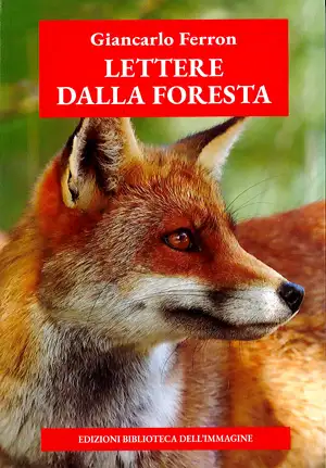 Giancarlo Ferron Lettere dalla foresta immagine non disponibile