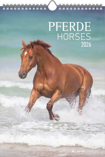 A.A.V.V. - Calendario Pferde - Horses 2026